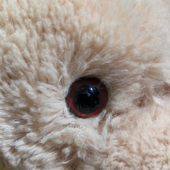 Kid’s Aéropostale Stuffed Teddy Bear with Scarf. One size. Gift card holder. - Picture 8 of 9